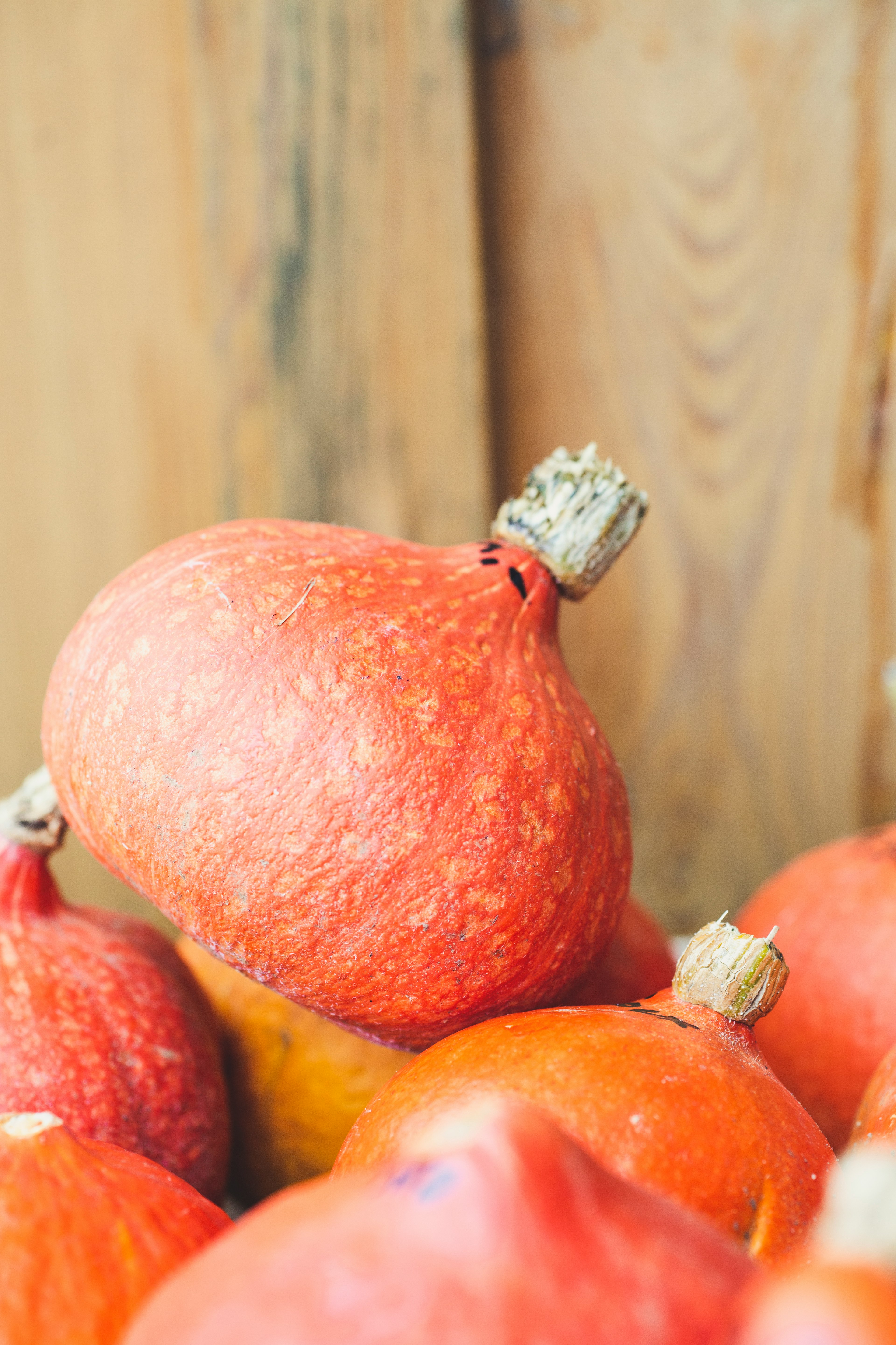 round red fruits